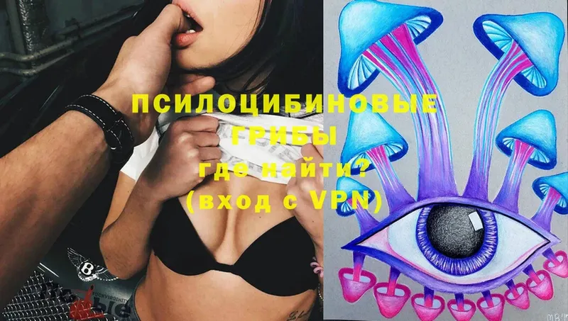 Галлюциногенные грибы Psilocybine cubensis  Ряжск 